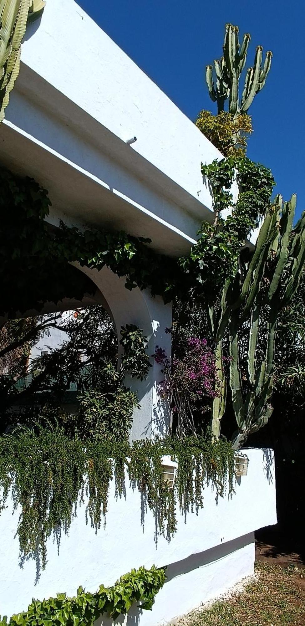 Villa Tortuga Marbella Eksteriør bilde
