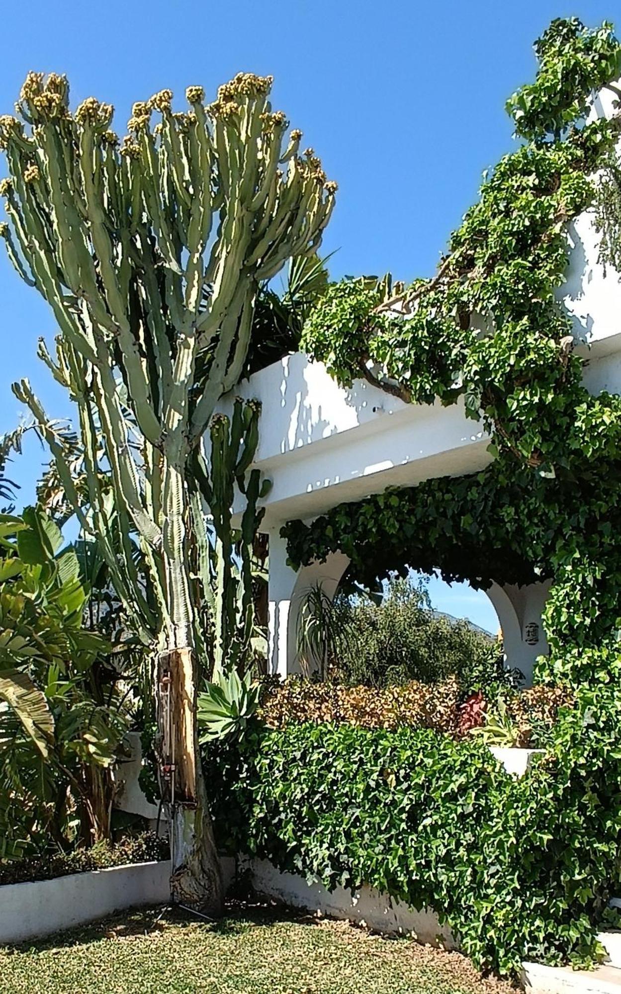 Villa Tortuga Marbella Eksteriør bilde